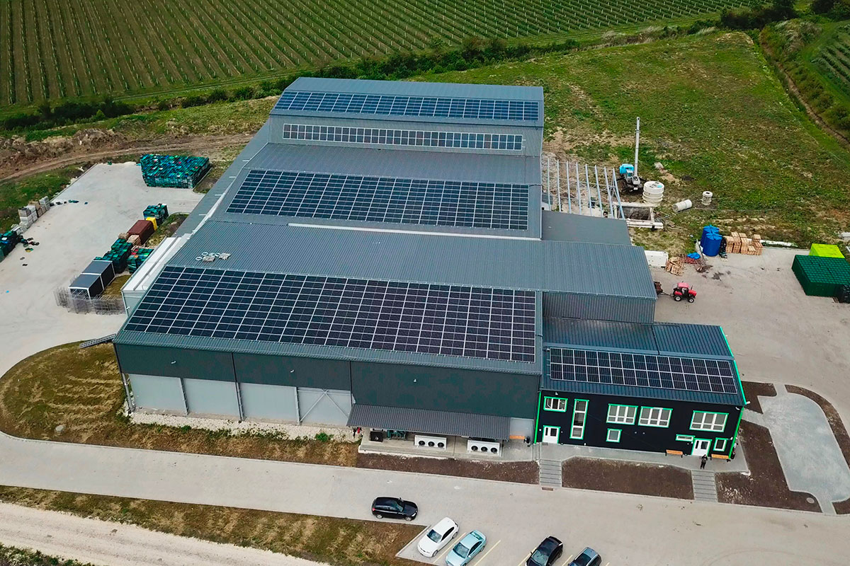 DELA Energy® завершила будівництво сонячної електростанції для фермерського господарства